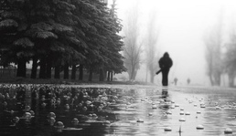 ?споведь под дождём